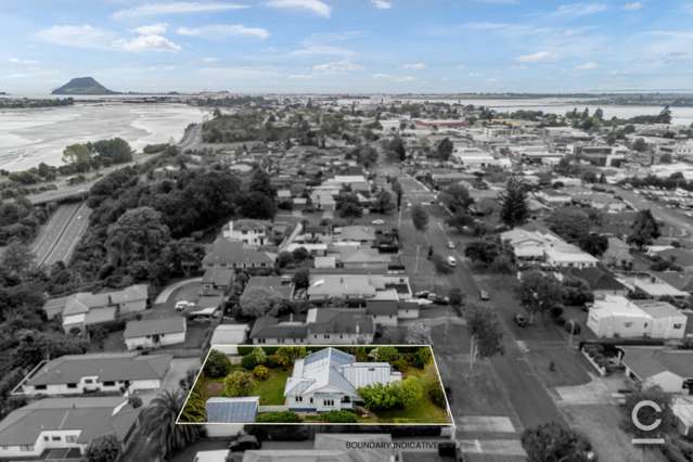 153 Edgecumbe Road Tauranga South_1