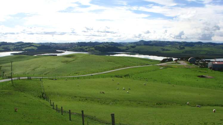 369 Burma Road Tapora_12