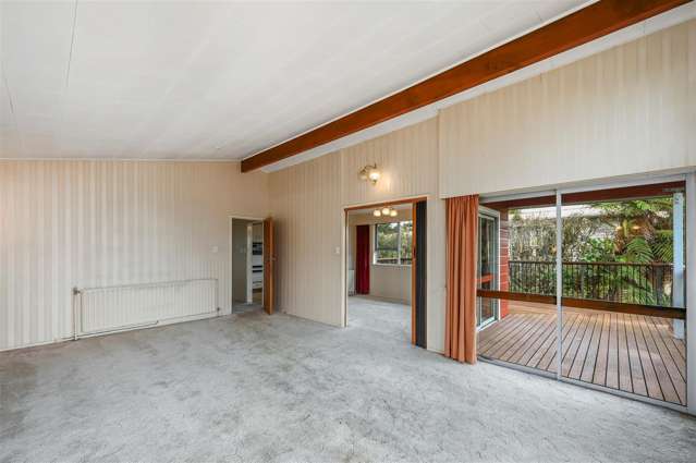 401d Old Taupo Road Springfield_4