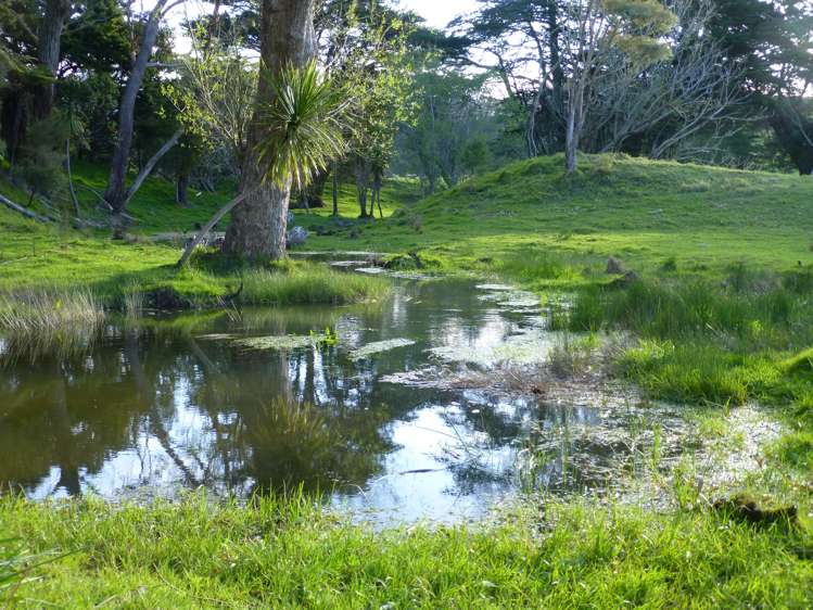 5565 State Highway 10 Kaingaroa_5