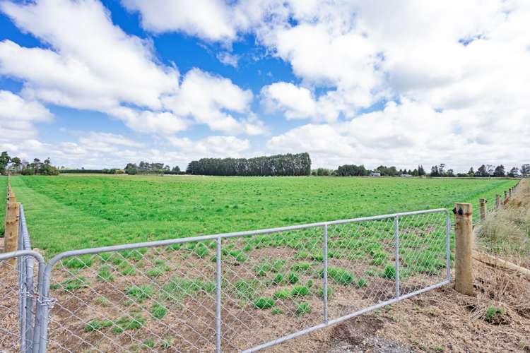 52 Blakie Road Ryal Bush_9