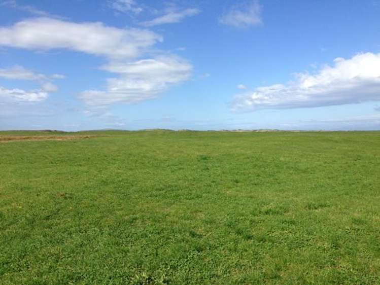 1110 Waimatuku Bush Road Taramoa_7