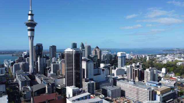 CBD Starter or Smart Rental – Your Choice