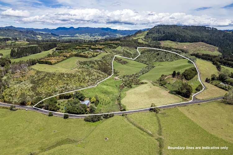 89 Purangi Road Purangi_27