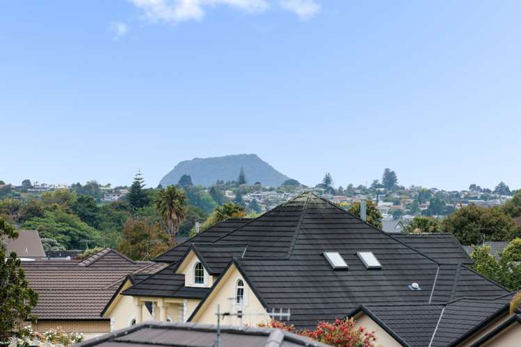 6 Orchard Way Bethlehem_16