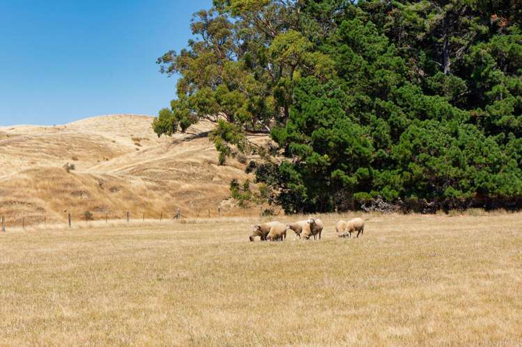 189 Gulch Road Ward_24