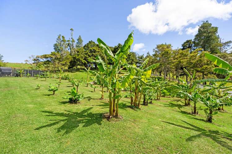 395 Tangihua Road Maungakaramea_18