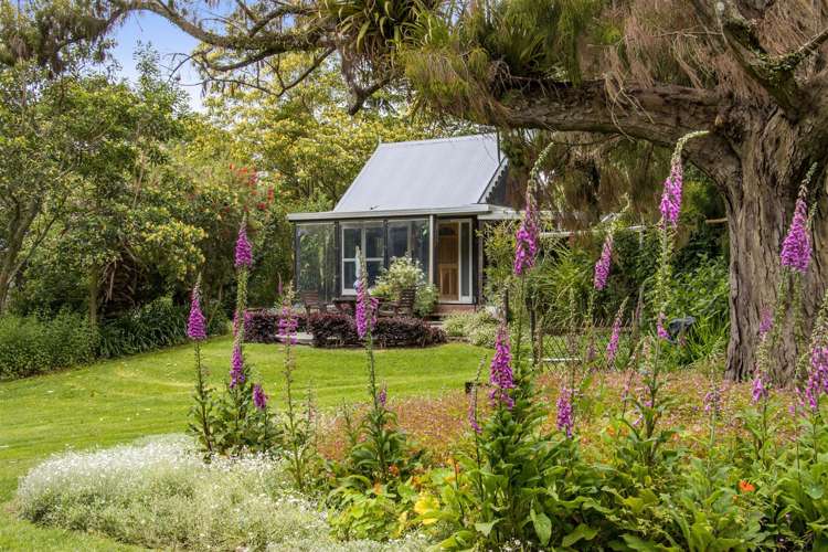 202c Thompsons Track Aongatete_11