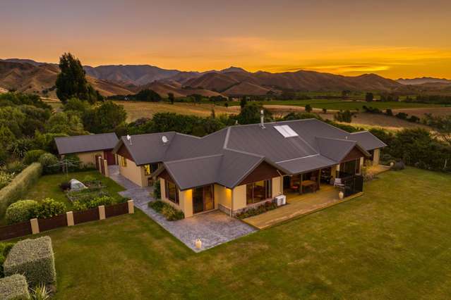 Vendors seek action, viewing will impress