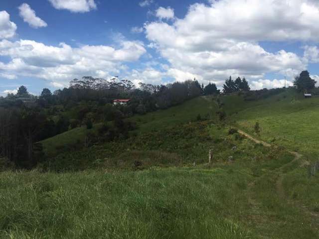 49 Foley Quarry Road Dairy Flat_3