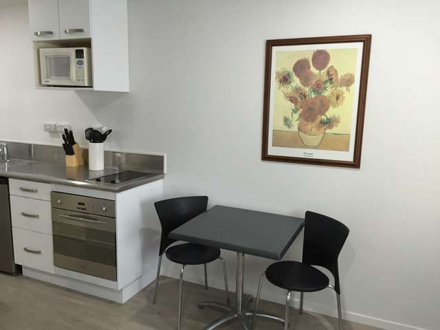 City Studio Apartment NR. Viaduct