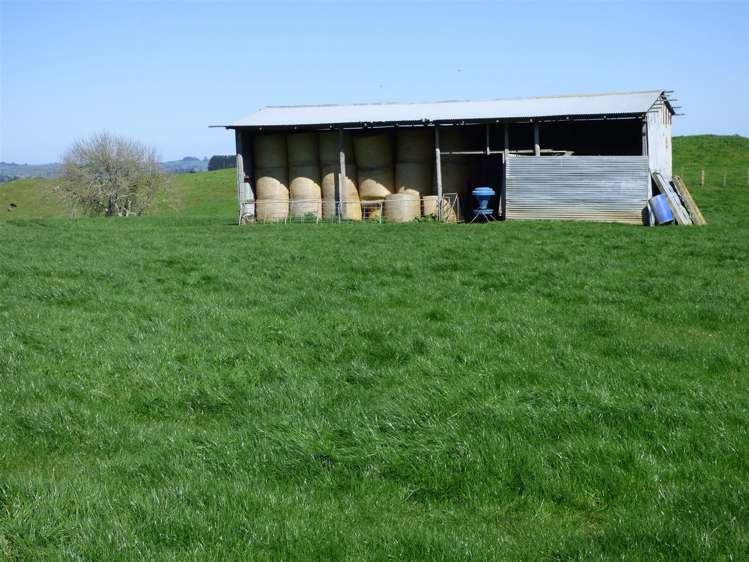 546 Ngutunui Road Otorohanga_14