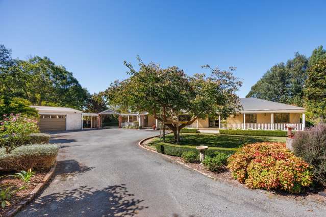 774 Taonui Road Colyton_4