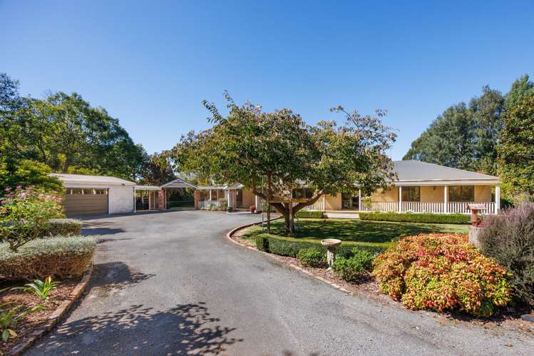 774 Taonui Road Colyton_4