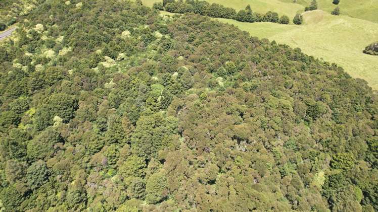 3750 State Highway 10 Kaeo_8