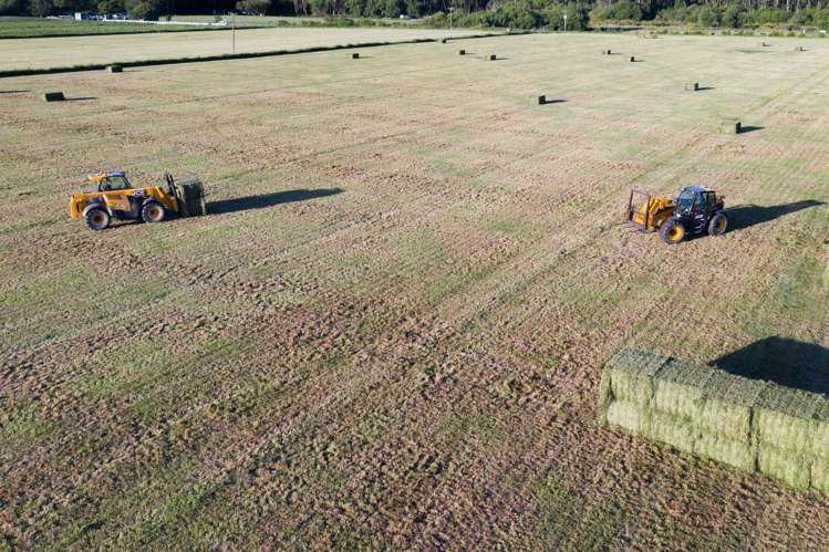 Wilkins Road Tinwald_9