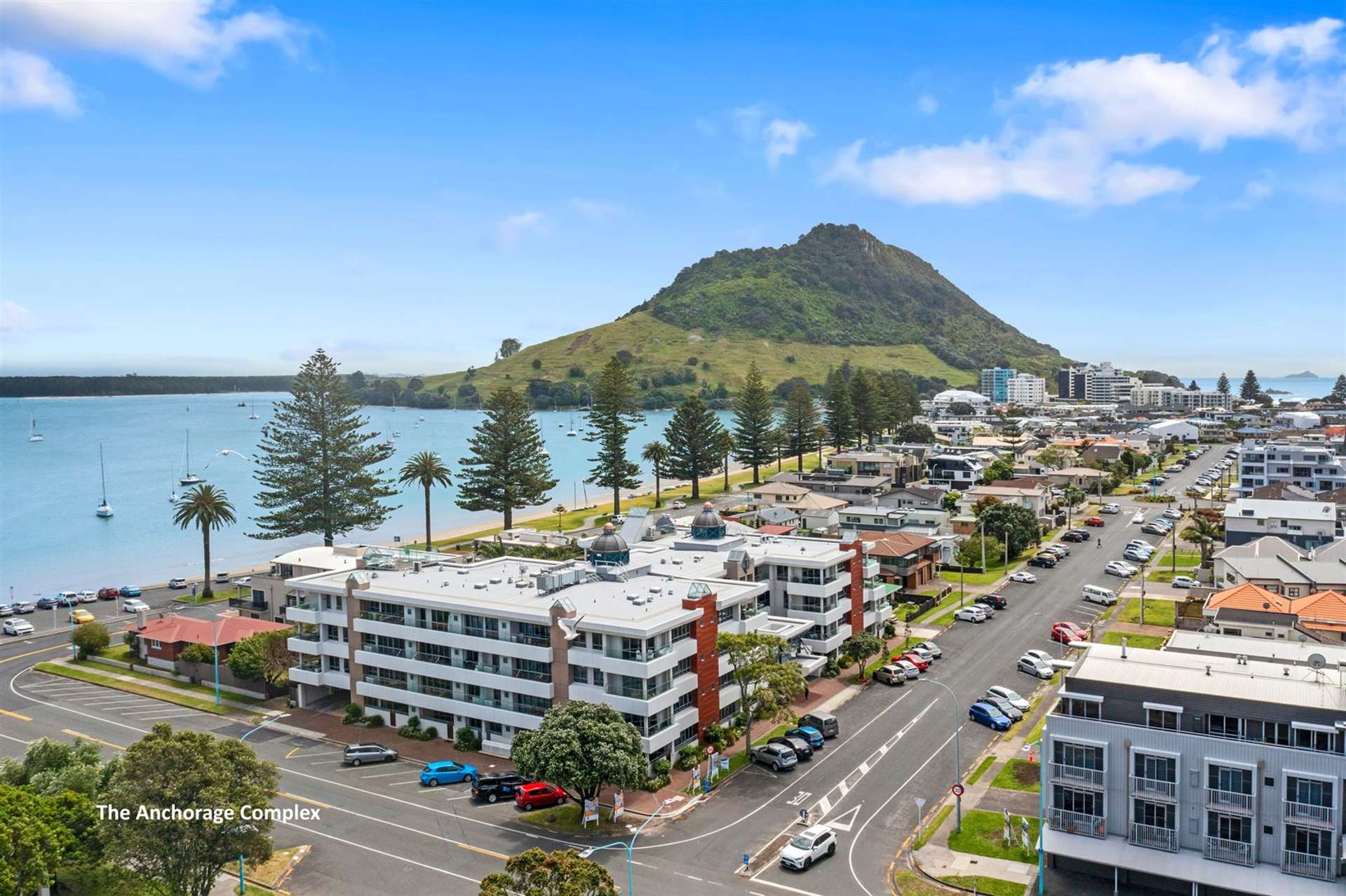 202/36 Victoria Road (The Anchorage) Mt Maunganui_0