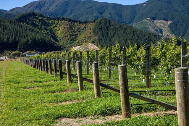 95 Speeds Road Koromiko_2