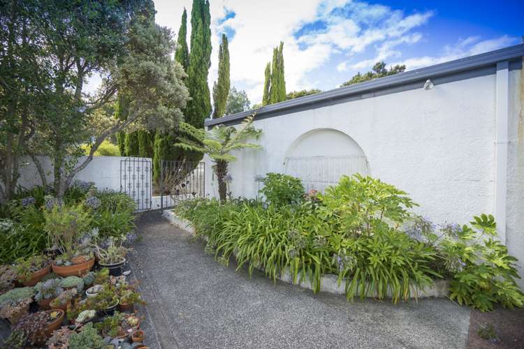 80 Chelsea View Drive Chatswood_19