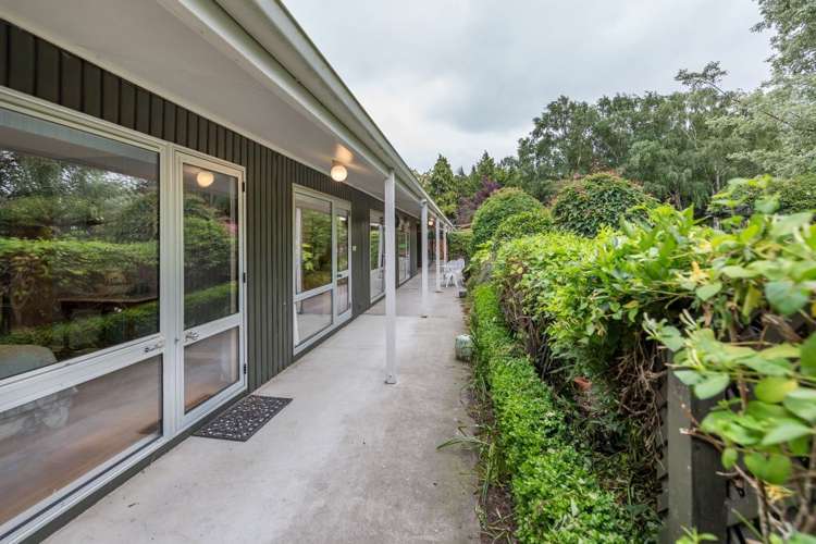 439 Dawsons Road Templeton_24