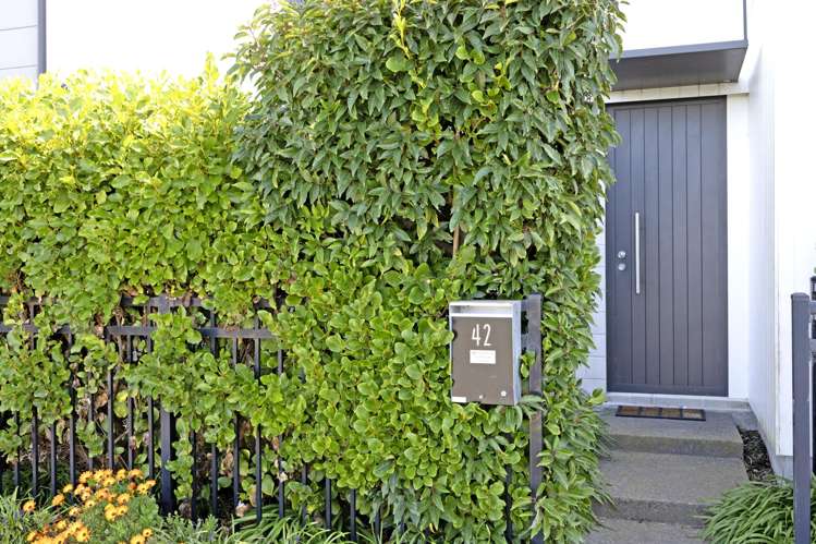 42 Tippet Crescent Wigram_7