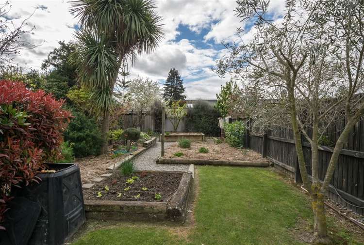 84a Colemans Road Springlands_21