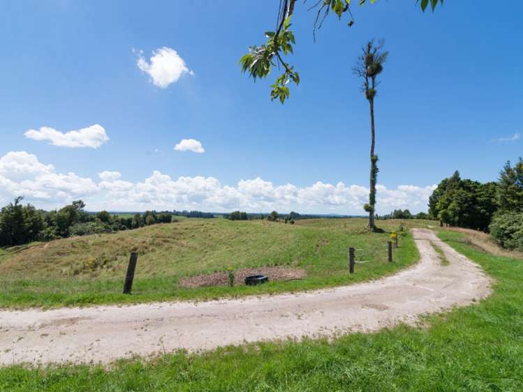 627 South Road Mamaku_9