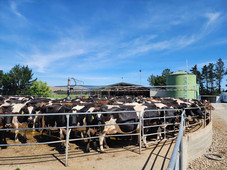 113 Scott Road Milton_7