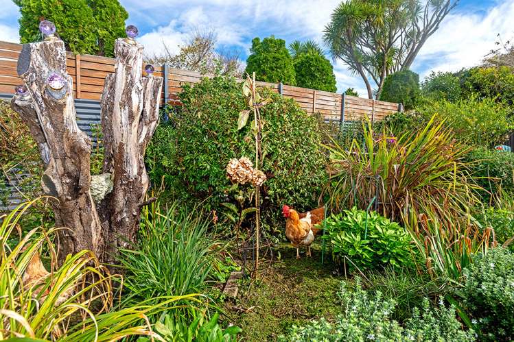 1 Waimata Road Whataupoko_14