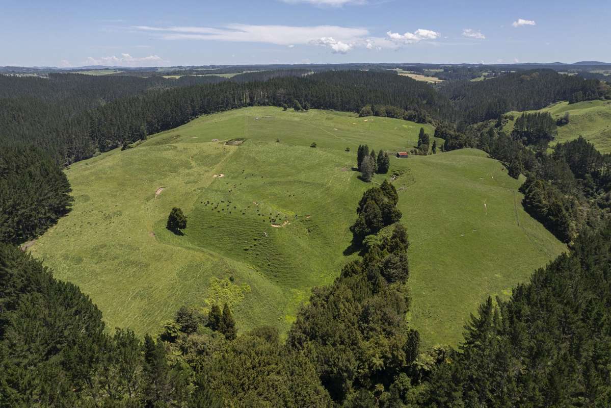 1707 Te Matai Road_5