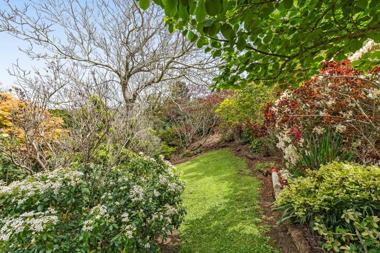 Lot 1,118B Wairau Road Oakura_17