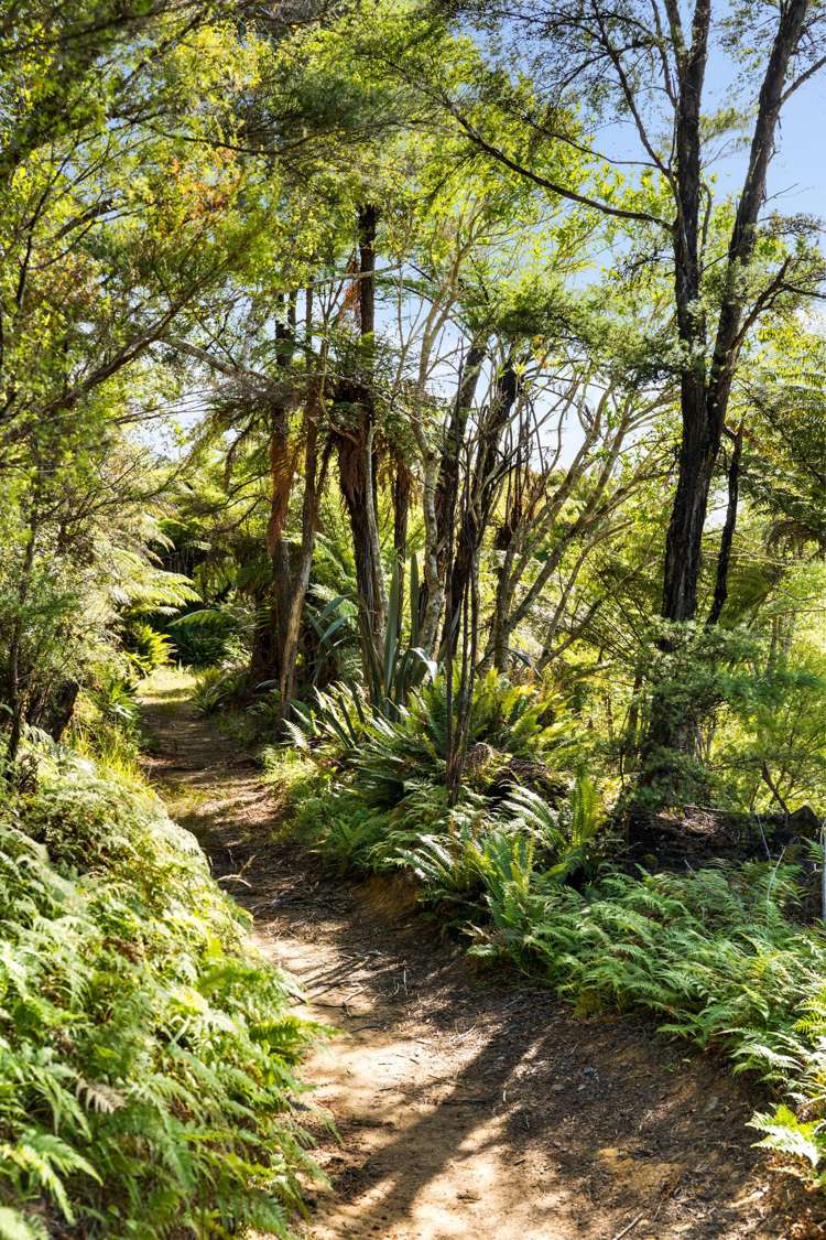 Lots 1 and 5 Nydia Bay Nydia Bay_18