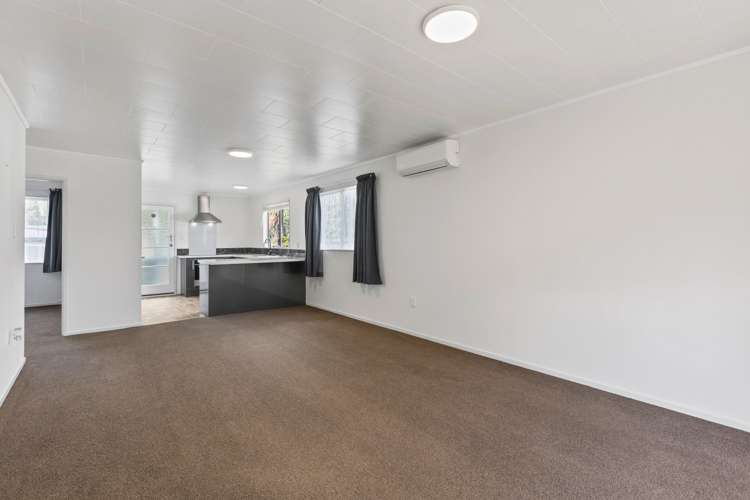 1/7 Euclid Street Vogeltown_6