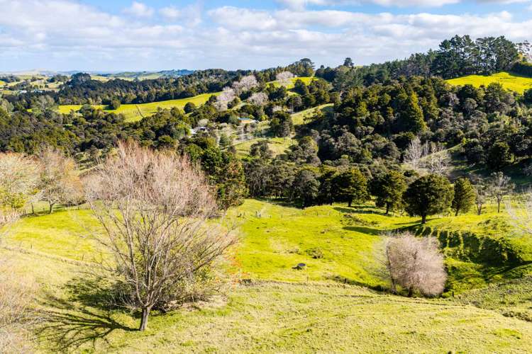 318 Franklin Road Paparoa_42