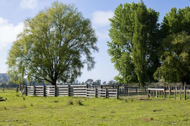 Waihua Valley Wairoa_5