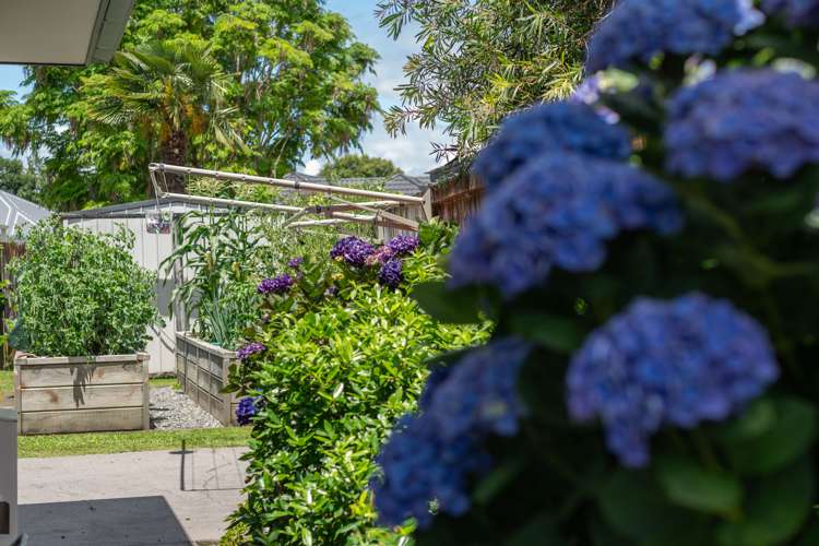 8 Burr Street Cambridge_23