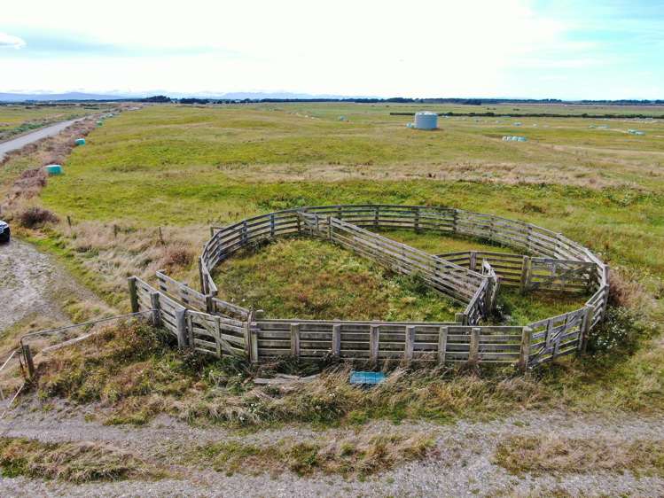 1025 Waimatuku Bush Road Taramoa_9