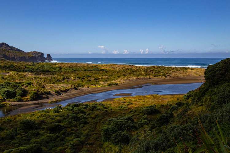 276 Bethells Road Bethells Beach_29
