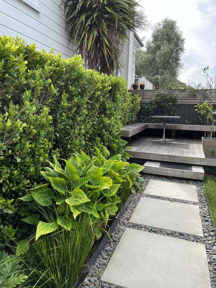 1/89 Richmond Road Grey Lynn_12