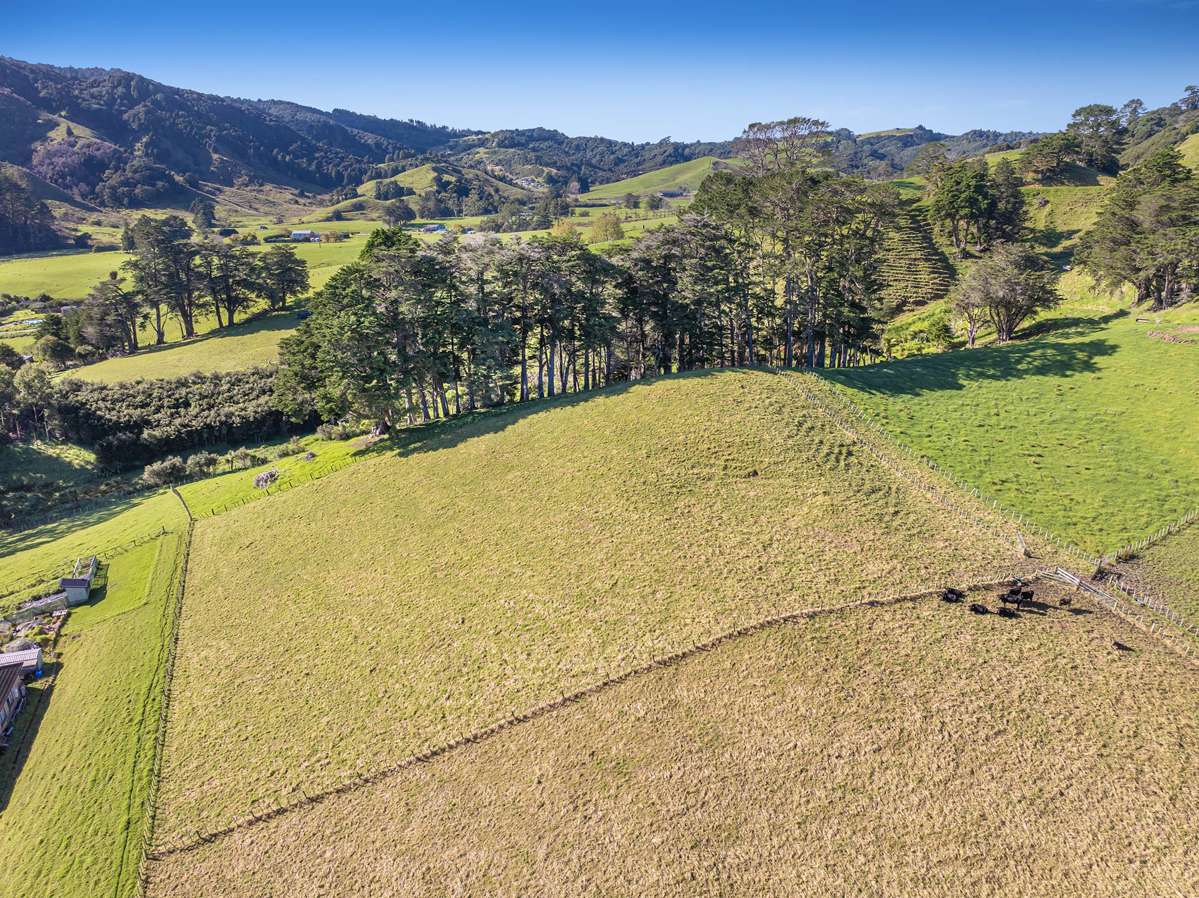 1115B Ahuroa Road_2