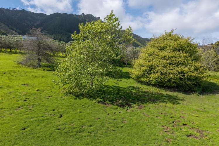 Lot Lot 1/59 Octavius Road Peka Peka_4