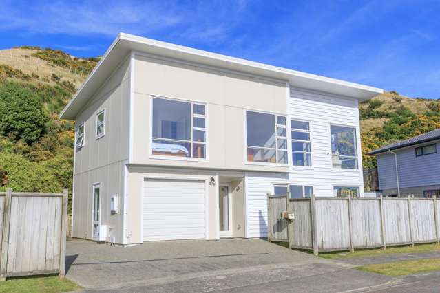 Clever Comfort Comber!