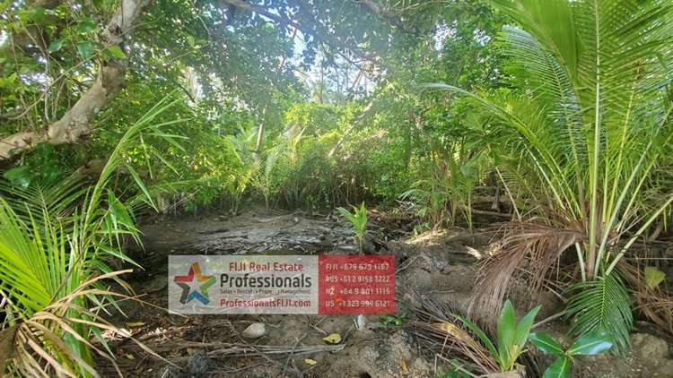 Address withheld Savusavu_19