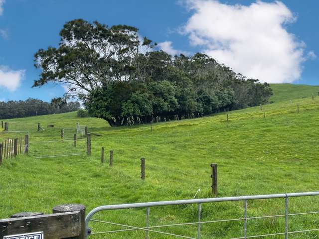 512 Rehutai Road Dargaville Surrounds_1