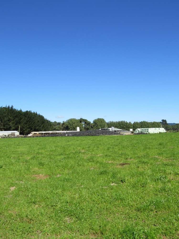 6261 State Highway 1 Kinleith_14