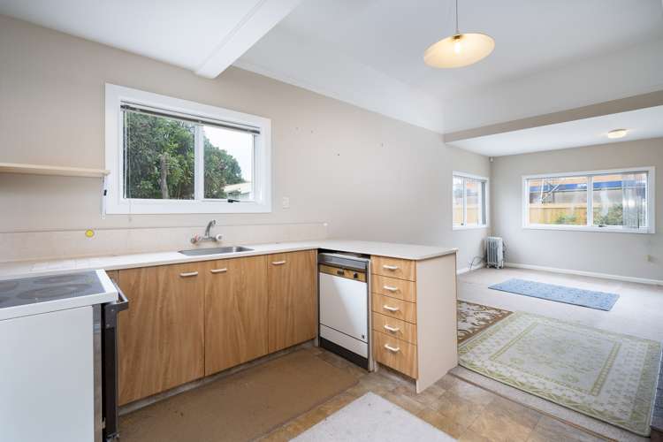 44 Hastings Street West Sydenham_11