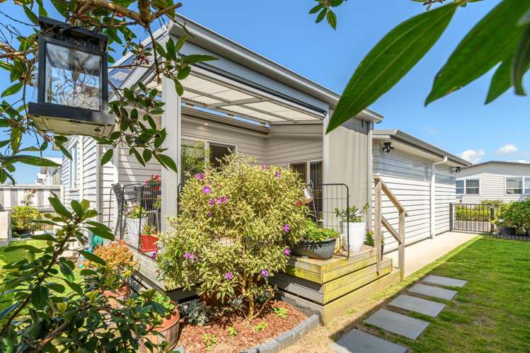 311/11 Kamahi Crescent Papamoa_2