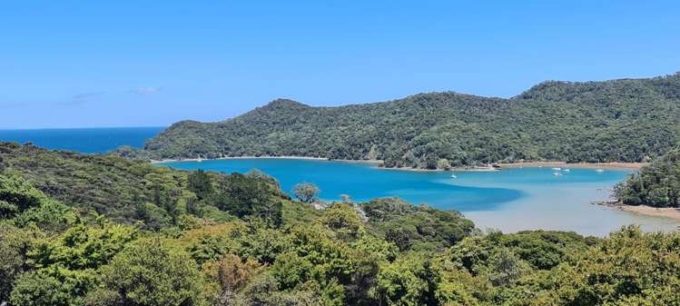 20 Harpoon Hill Great Barrier Island_3