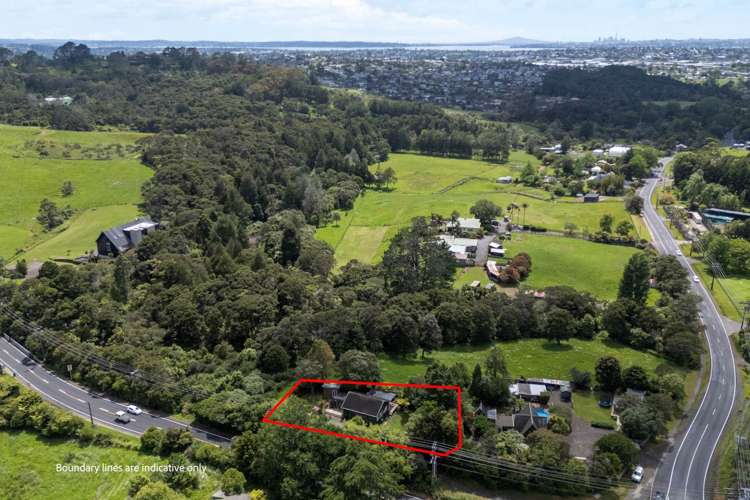 186 Candia Road Henderson Valley_19