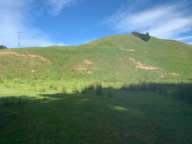 106 River Road Pongoroa_2